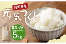 【栽培期間中肥料・農薬不使用】福岡県産 元気つくし 五分づき 5kg 白米 お米 お弁当 【2025年11月上旬より順次発送予定】