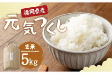 【栽培期間中肥料・農薬不使用】福岡県産 元気つくし 玄米 5kg お弁当 【2025年11月上旬より順次発送予定】