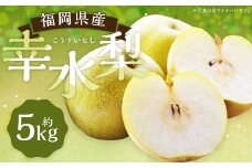 数量限定 幸水梨 約5kg 9～12玉【2025年7月上旬～8月上旬発送】 ナシ 梨 果物 フルーツ 福岡県産