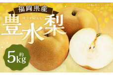  豊水梨 約5kg 9～12玉【2025年8月上旬～9月上旬発送】 ナシ 梨 果物 フルーツ 福岡県産