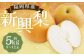 新興梨 9～12玉 約5kg ナシ 梨 福岡県産