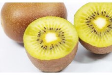 博多甘うぃ キウイ 約3.6kg 20~24玉 【2025年10月下旬～11月下旬発送】果物 フルーツ お取り寄せ 福岡県
