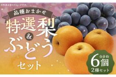 数量限定 よらん野 特選 梨 と ぶどう セット（品種おまかせ） 【2025年8月上旬～9月下旬発送】 幸水 豊水 新興 葡萄 巨峰 ピオーネ 果物 フルーツ