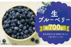 生 ブルーベリー  約700g 約350g×2パック 【2025年7月上旬～8月下旬順次発送予定】 果物 フルーツ デザート おやつ お取り寄せ 冷蔵