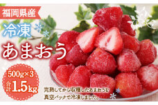冷凍あまおう 500g×3パック 計1.5kg いちご かき氷