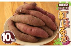 【2023年12月下旬～順次発送予定】農園直送 福岡県産 紅はるか 10kg 【訳あり】