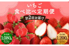 【全2回定期便】数量限定 フルーツ定期便 いちご 2品種 食べ比べ （ あまおう ・ かおり野 ） 合計約2.28kg 【2026年1月下旬から3月下旬まで順次発送予定】