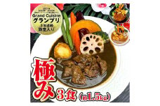 冷凍 スープカレー 極み 3食 セット 計約1.5kg / ビーフ 薬膳 エビ カレー レトルトカレー レトルト食品 詰め合わせ