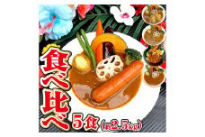 冷凍 スープカレー 食べ比べ 5食 セット 計約2.5kg / チキン キーマ ウインナー 薬膳 ベジタブル カレー レトルトカレー レトルト食品 詰め合わせ