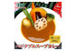 冷凍 スープカレー 食べ比べ 5食 セット