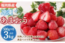 冷凍あまおう 500g×6パック 計3kg いちご かき氷