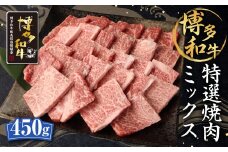 博多和牛 特選 焼肉 ミックス 450g 和牛 牛肉 ロース カルビ モモ