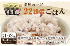 麦屋の一品 22雑穀ごはん (30g×18本(小袋タイプ))×3袋 計1.62kg 国内産