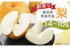 【8月上旬より順次発送予定】【訳あり】 筑後市産 梨 14～16玉 品種おまかせ ご家庭用 幸水 豊水 なし ナシ 果物 フルーツ 