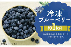冷凍 ブルーベリー  約1kg 約200g×5 【2025年8月上旬発送開始】 果物 フルーツ デザート おやつ お取り寄せ  冷凍