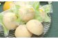 檸檬 ～Lemon Cake～ 10個入 レモンケーキ レモン ケーキ スイーツ お菓子 洋菓子 焼き菓子 福岡県 筑後市