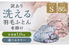 訳あり 節電対策 洗える羽毛ふとん 羽毛ふとん 羽毛布団 本掛け 充填量1.0kg ダウン85%抗菌・防臭ダウン使用 シングル ブルー・グリーン系