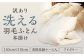 訳あり 節電対策 洗える羽毛ふとん 羽毛ふとん 羽毛布団 本掛け 充填量1.0kg ダウン85%抗菌・防臭ダウン使用 シングル