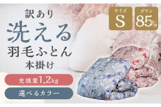 訳あり 節電対策 洗える羽毛ふとん 羽毛ふとん 羽毛布団 増量タイプ 本掛け 充填量1.2kg ダウン85%抗菌・防臭ダウン使用 シングル ブルー・グリーン系