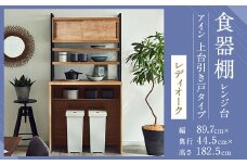 【開梱設置】 食器棚 レンジ台 アイン 上台引き戸タイプ 幅89.7cm レディオーク キッチンボード ゴミ箱収納 ダスト収納 キッチン収納 おしゃれ 家具