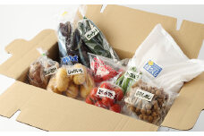 産直 野菜 詰め合わせ BOX 福岡県産 ( お野菜 と 米 の セット )