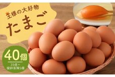 王様の大好物 たまご 40個 ( 35個＋破卵保障5個 ) 福岡県産 国産 にわとり 卵かけご飯 ゆでたまご
