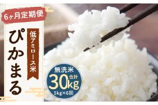 【新米先行予約】【6ヶ月定期便】 低アミロース米 ぴかまる 5kg 無洗米 計30kg お米 単一原料米 福岡県産 【2025年11月より順次発送開始予定】