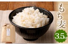 もち麦 3.5㎏ 福岡県産 大麦 くすもち二条