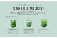 KAKERU MIDORI 20包×2袋	