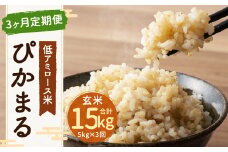 【新米先行予約】【3ヶ月定期便】低アミロース米 ぴかまる 5kg×3回 玄米 計15kg 【2025年11月より順次発送開始予定】