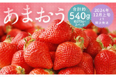 福岡県産 あまおう 合計約540g 約270g×2パック 【2024年12月上旬～12月下旬迄発送】