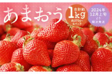 福岡県産 あまおう 合計約1,080g 約270g×4パック 【2024年12月上旬～12月下旬発送】