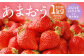 福岡県産 あまおう 合計約1,080g 約270g×4パック