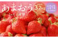 【3回定期便】福岡県産 あまおう 合計約3.24kg 約270g×4パック×3回