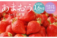 【3回定期便】福岡県産 あまおう 合計約1.62kg 約270g×2パック×3回 【2024年12月上旬発送開始】