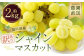 【訳あり】農園直送！ シャインマスカット 約2kg