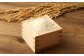 【新米先行予約】【隔月3ヶ月定期便】低アミロース米ぴかまる 約5kg×3回 白米 計約15kg