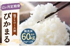 【新米先行予約】【12ヶ月定期便】低アミロース米ぴかまる 約5kg×12回 無洗米 計約60kg 【2025年11月より順次発送開始予定】