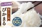 【新米先行予約】【12ヶ月定期便】低アミロース米ぴかまる 約5kg×12回 無洗米 計約60kg