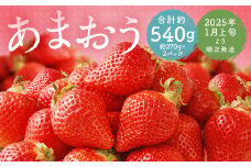 福岡県産 あまおう 合計約540g 約270g×2パック 【2025年1月上旬～1月下旬発送】