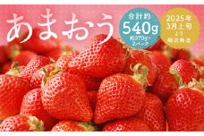 福岡県産 あまおう 合計約540g 約270g×2パック 【2025年3月上旬～3月下旬発送】
