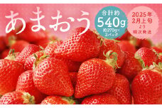 福岡県産 あまおう 合計約540g 約270g×2パック 【2025年2月上旬～2月下旬発送】