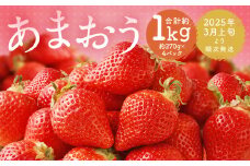 福岡県産 あまおう 合計約1,080g 約270g×4パック 【2025年3月上旬～3月下旬発送】