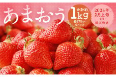 福岡県産 あまおう 合計約1,080g 約270g×4パック 【2025年2月上旬～2月下旬発送】