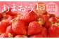 福岡県産 あまおう 合計約1,080g 約270g×4パック
