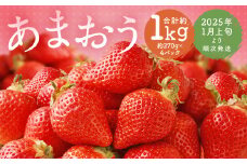 福岡県産 あまおう 合計約1,080g 約270g×4パック 【2025年1月上旬～1月下旬発送】