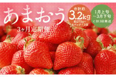【3回定期便】福岡県産 あまおう 合計約1,080g 約270g×4パック 【2025年1月上旬～3月下旬発送】