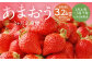 【3回定期便】福岡県産 あまおう 合計約1,080g 約270g×4パック