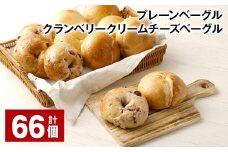 プレーンベーグル・クランベリークリームチーズベーグル 計66個  ベーグル パン セット 冷凍