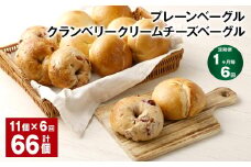 【1ヶ月毎6回定期】 プレーンベーグル・クランベリークリームチーズベーグル 11個✕6回 合計66個  ベーグル パン セット 冷凍